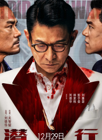 动压缩中小成本、低预期项目，集中资源投向头部定制与优质自制内容。